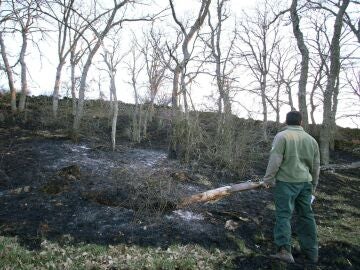 Un agente forestal comprueba el perímetro del incendio declarado en Losacio de Alba