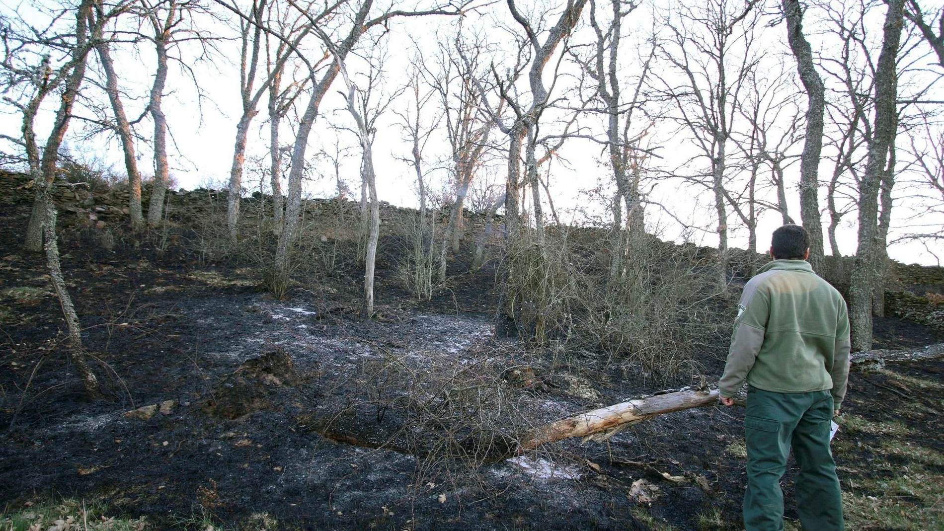 Un agente forestal comprueba el perímetro del incendio declarado en Losacio de Alba