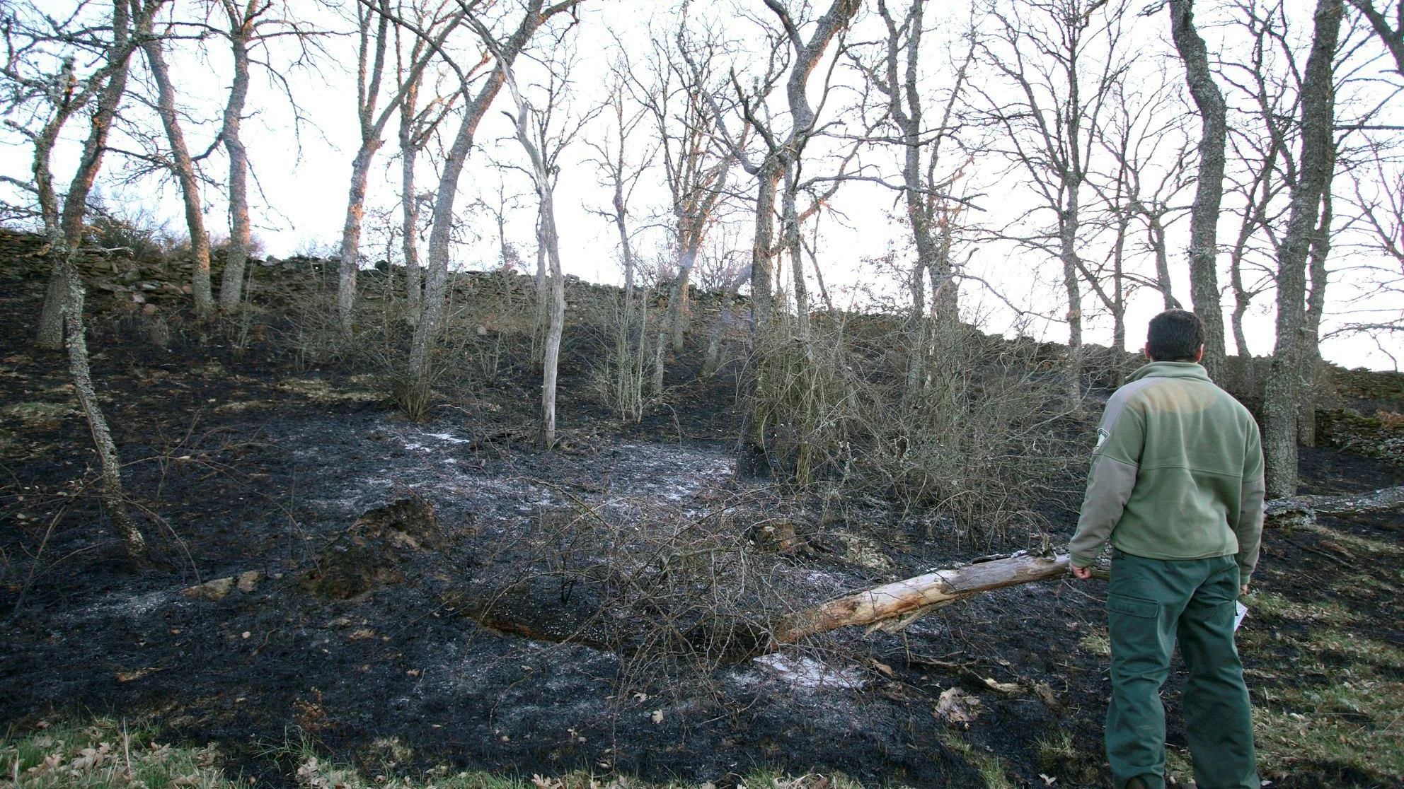 Un agente forestal comprueba el perímetro del incendio declarado en Losacio de Alba