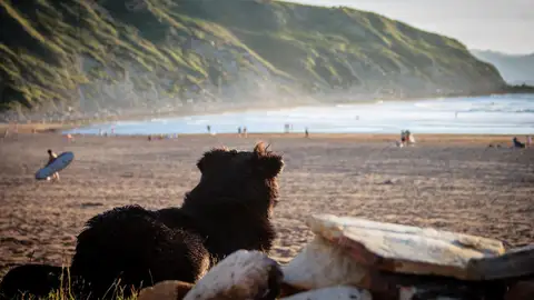 Playas cerca de Bilbao para disfrutar del verano Playas cerca de Bilbao para disfrutar del verano
