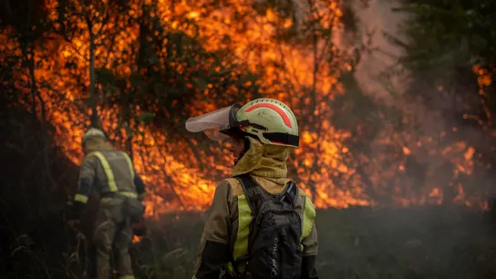 Bomberos forestales realizan labores de extinción en un incendio. Cuánto dinero cobra un bombero en España: diferencias por comunidades