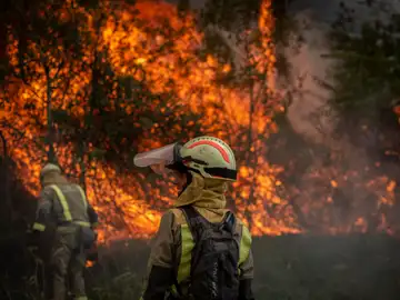 Bomberos forestales realizan labores de extinción en un incendio.
