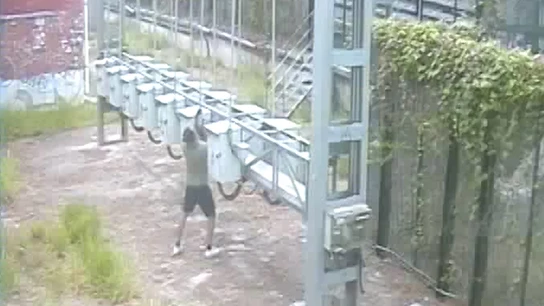 Uno de los detenidos durante un robo Alta tensión