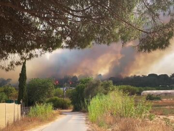 Incendio en el centro turístico del Algarve en Faro, Portugal
