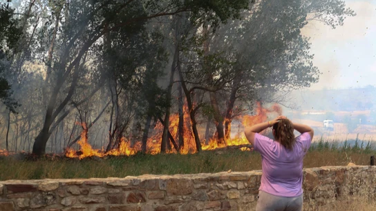 Una mujer observa las llamas del incendio forestal registrado en la comarca de Tábara (Zamora) Una mujer observa las llamas del incendio forestal registrado en la comarca de Tábara (Zamora)