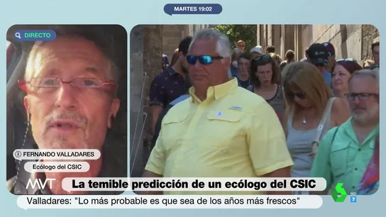 La temible predicción de un ecólogo del CSIC: "Este verano será el más fresco de lo que nos queda de vida" La temible predicción de un ecólogo del CSIC: "Este verano será el más fresco de lo que nos queda de vida"