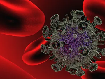 virus VIH virus VIH