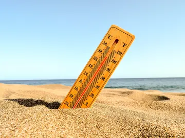 Termómetro a altas temperaturas Termómetro a altas temperaturas