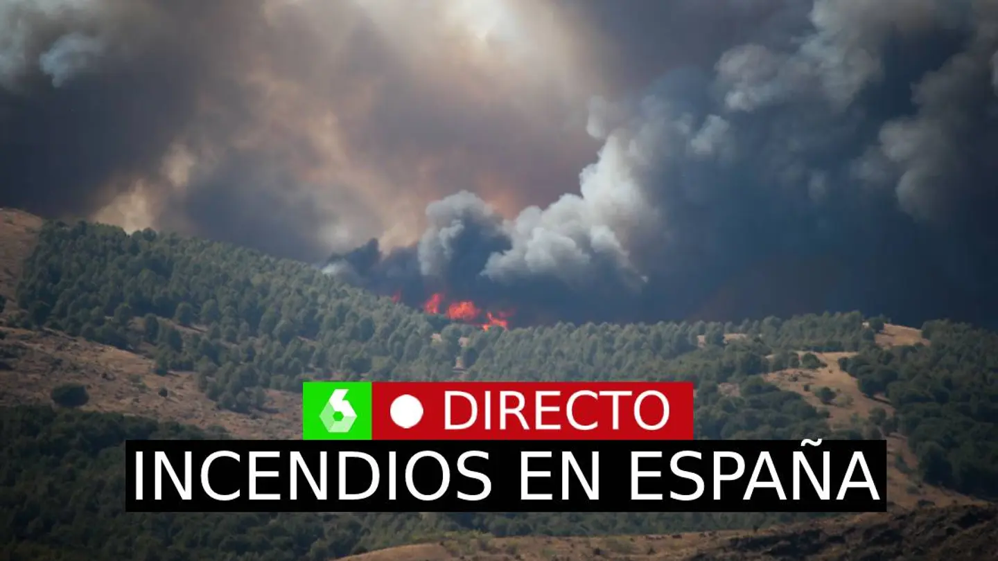 Incendios forestales, en directo: los vientos complican los fuegos de Galicia, Castilla y León, Zaragoza y Guadalajara Incendios forestales, en directo: los vientos complican los fuegos de Galicia, Castilla y León, Zaragoza y Guadalajara