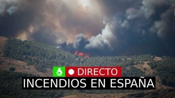 Incendios forestales, en directo: los vientos complican los fuegos de Galicia, Castilla y León, Zaragoza y Guadalajara