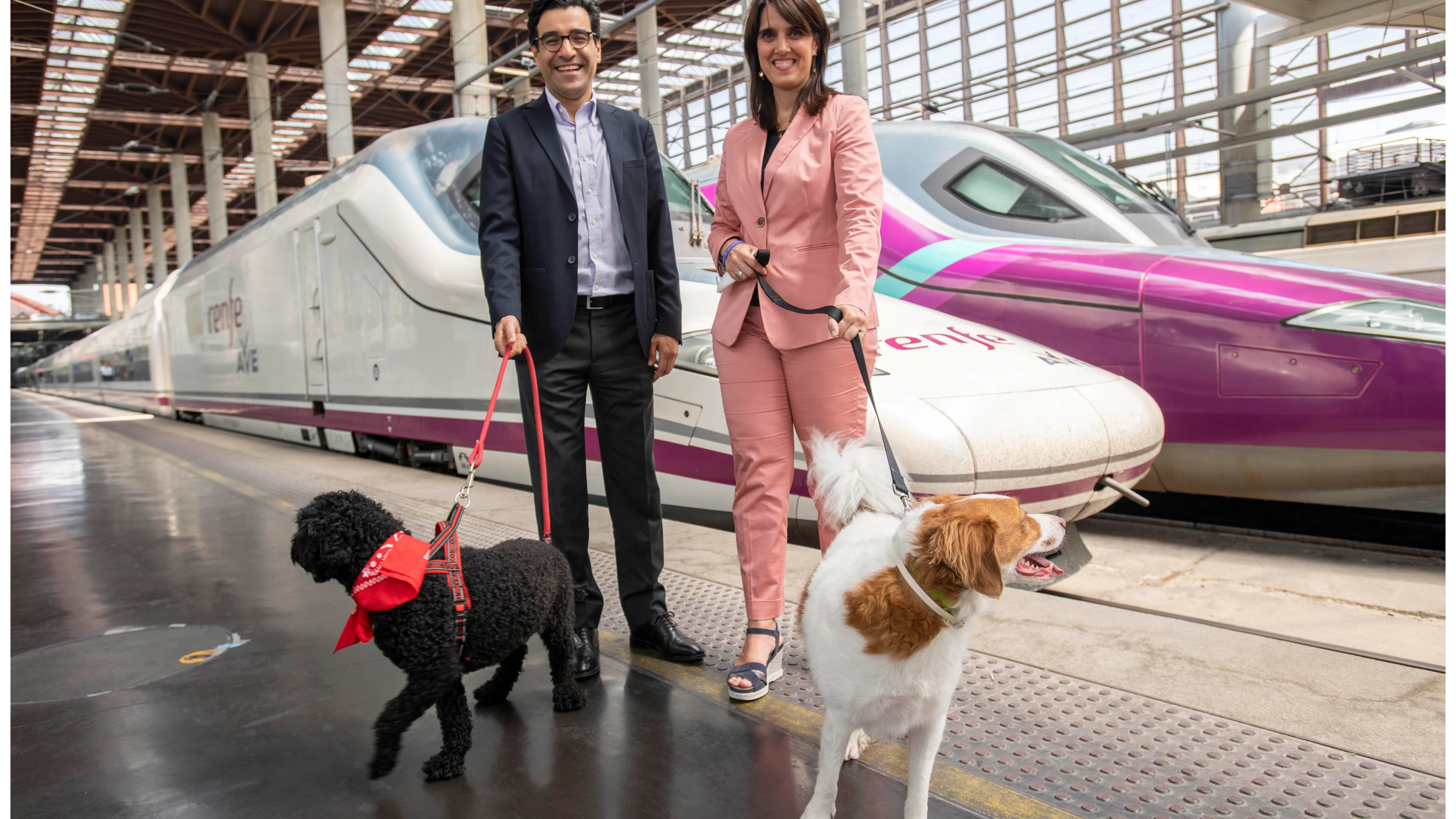 Renfe hará una prueba piloto para permitir viajar con perros grandes de hasta 40 kg en los AVE