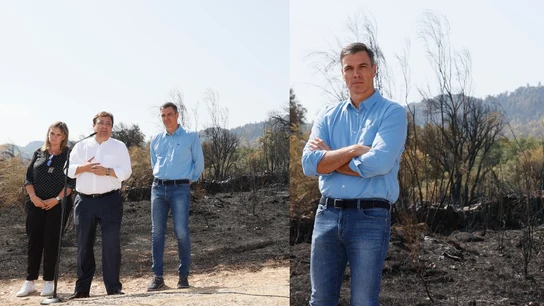 Pedro Sánchez durante una rueda de prensa en el incendio de Monfragüe Pedro Sánchez durante una rueda de prensa en el incendio de Monfragüe