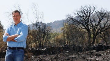 Pedro Sánchez en el incendio de Monfragüe