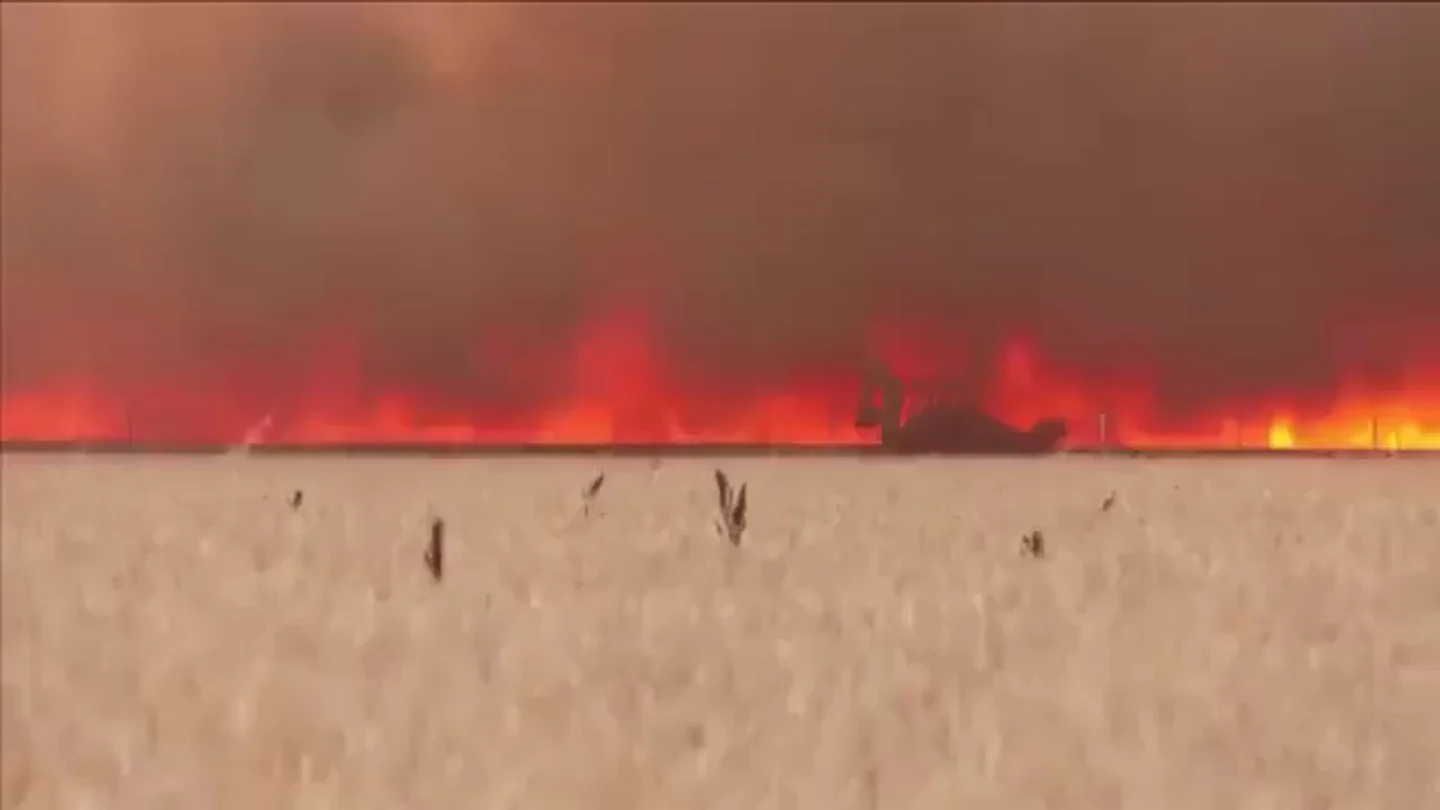 El estremecedor vídeo de un hombre envuelto en llamas huyendo del incendio de Zamora El estremecedor vídeo de un hombre envuelto en llamas huyendo del incendio de Zamora