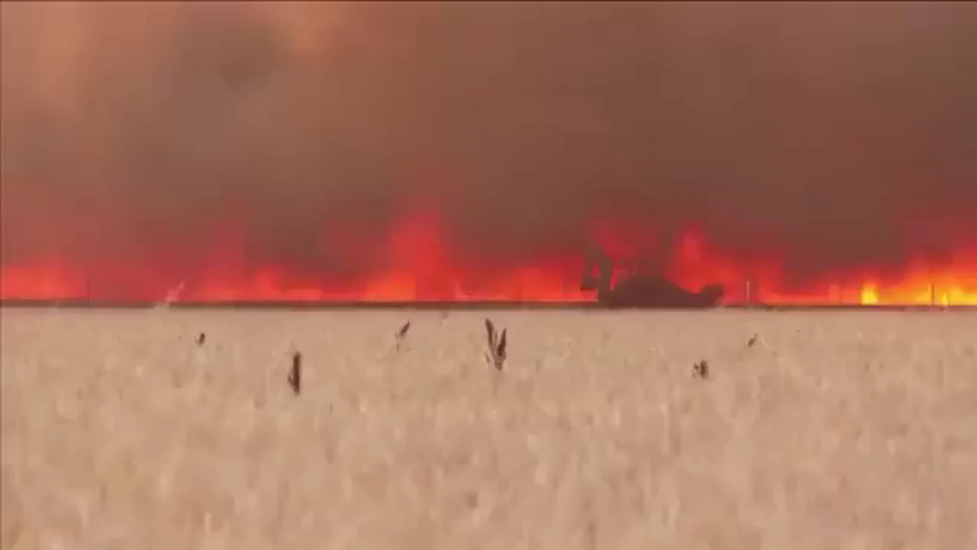 El estremecedor vídeo de un hombre envuelto en llamas huyendo del incendio de Zamora