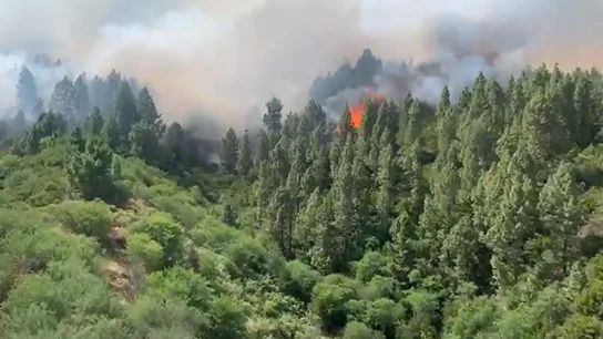 Incendio en Tenerife y riesgo en Gran Canaria, El Hierro y La Palma: Canarias declara la alerta Incendio en Tenerife y riesgo en Gran Canaria, El Hierro y La Palma: Canarias declara la alerta
