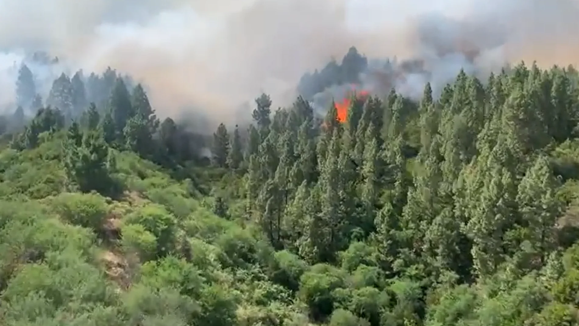 Incendio en Tenerife y riesgo en Gran Canaria, El Hierro y La Palma: Canarias declara la alerta