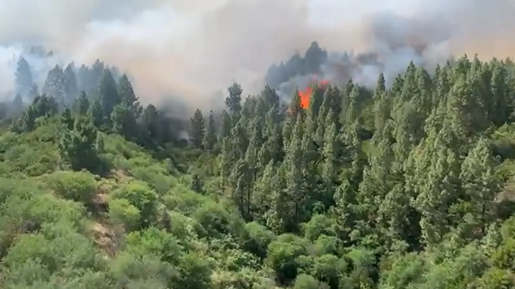 Incendio en Tenerife y riesgo en Gran Canaria, El Hierro y La Palma: Canarias declara la alerta