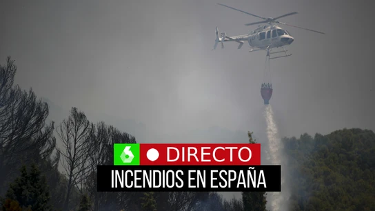 La última hora de los incendios en España, en directo La última hora de los incendios en España, en directo