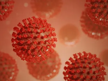 coronavirus coronavirus