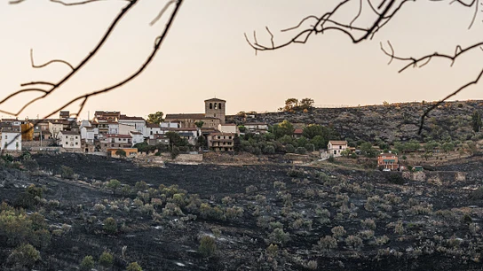 ¿Son los incendios de este verano los más graves de la historia? Esta es la superficie quemada en España en 2022 ¿Son los incendios de este verano los más graves de la historia? Esta es la superficie quemada en España en 2022