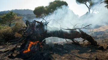 Restos del incendio en El Hoyo de Pinares, en Ávila