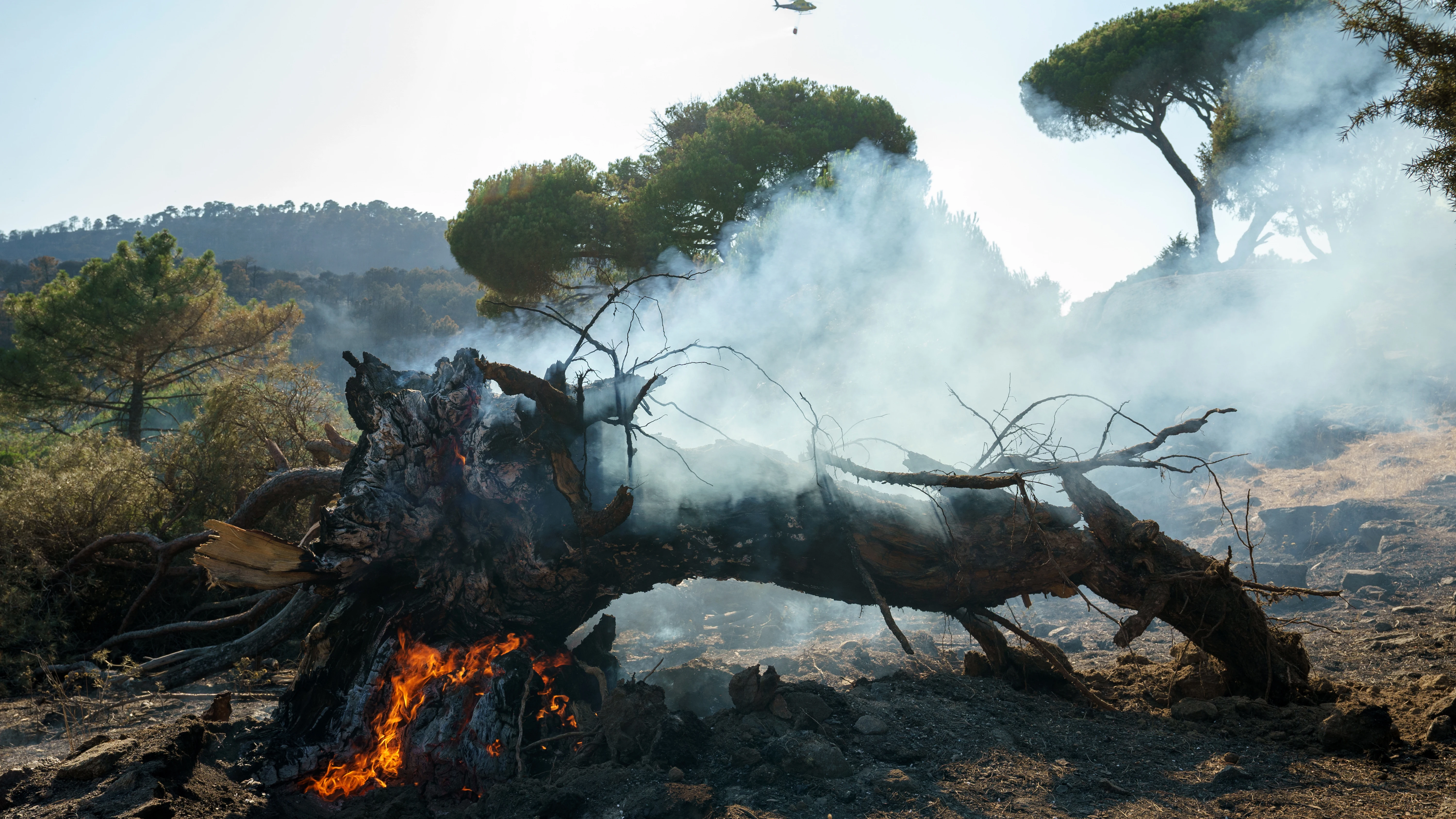 Restos del incendio en El Hoyo de Pinares, en Ávila