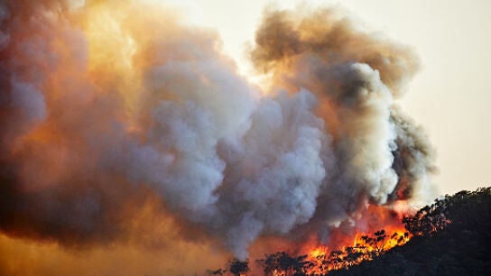 El festival M&uacute;sicos en la Naturaleza, cancelado en medio de la ola de incendios 