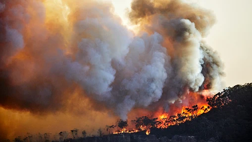 El festival Músicos en la Naturaleza, cancelado en medio de la ola de incendios 