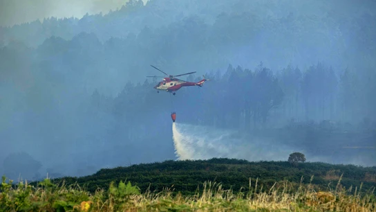 El incendio en Tenerife se extiende "rápidamente" con decenas de desalojados El incendio en Tenerife se extiende "rápidamente" con decenas de desalojados
