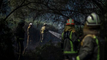 Bomberos trabajan en sofocar el incendio en Ourense