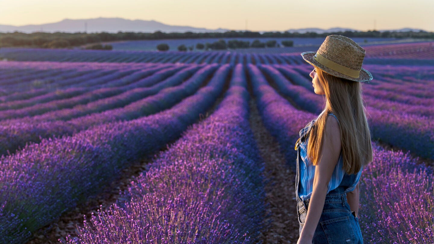 Chica visitando los campos de lavanda de Brihuega
