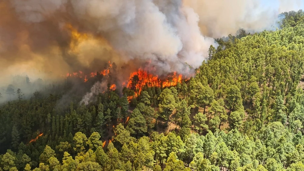 Incendio de Tenerife