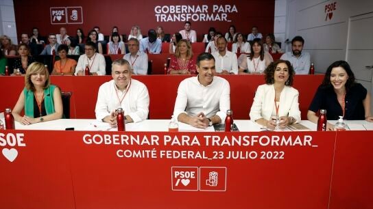 Comit&eacute; Federal del PSOE