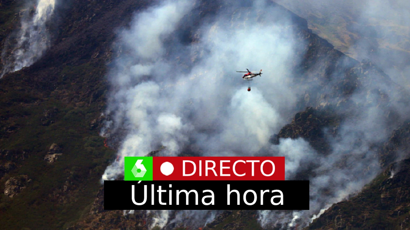Incendios en España última hora, en directo: las llamas, descontroladas en Tenerife, hoy Incendios en España última hora, en directo: las llamas, descontroladas en Tenerife, hoy