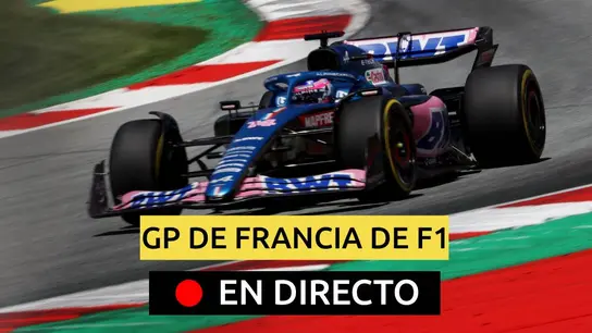 Fernando Alonso, en el GP de Francia Fernando Alonso, en el GP de Francia