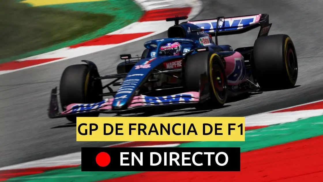 Fernando Alonso, en el GP de Francia