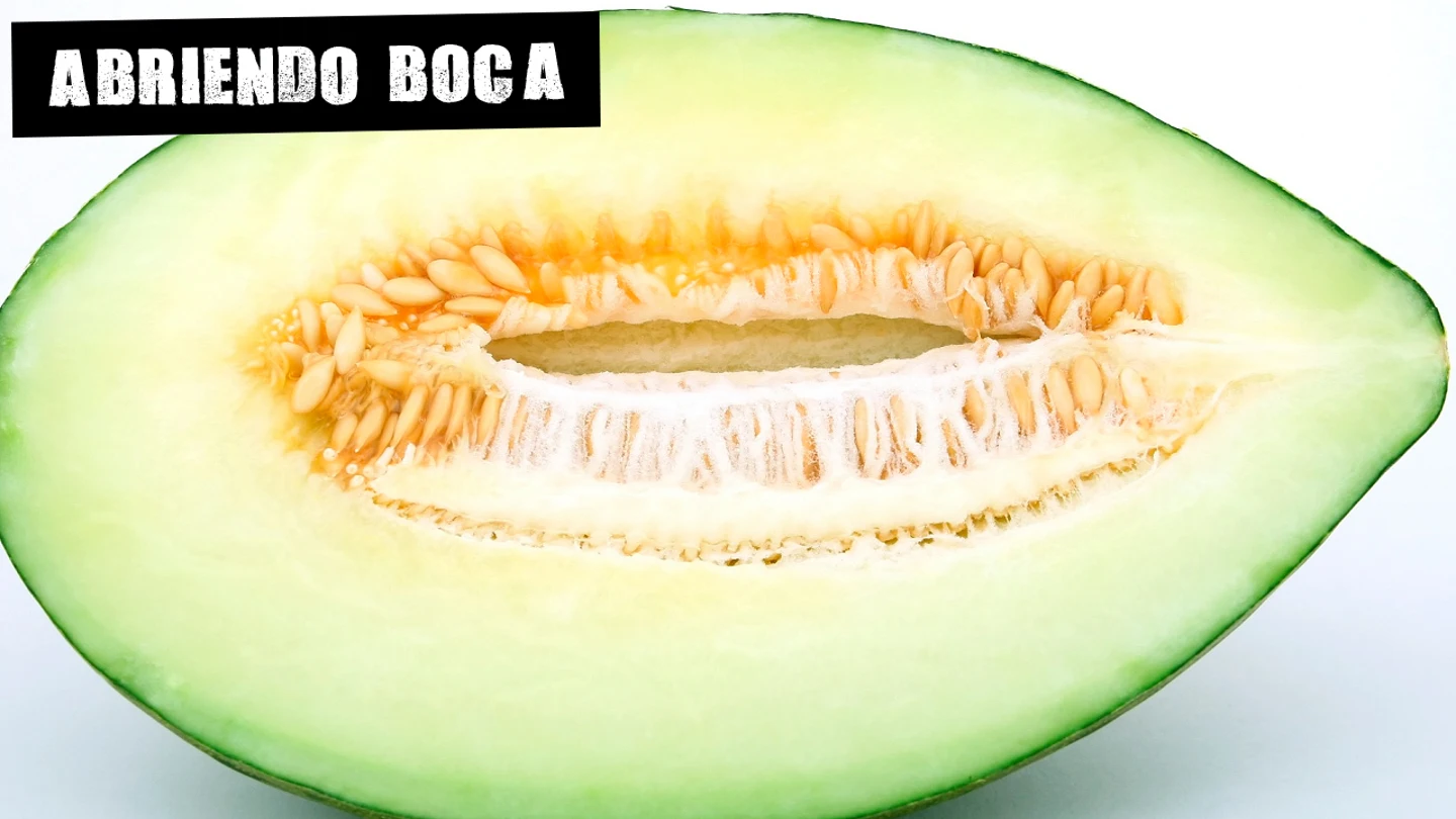 Melón o cerveza, ¿qué tiene más agua? Melón o cerveza, ¿qué tiene más agua?