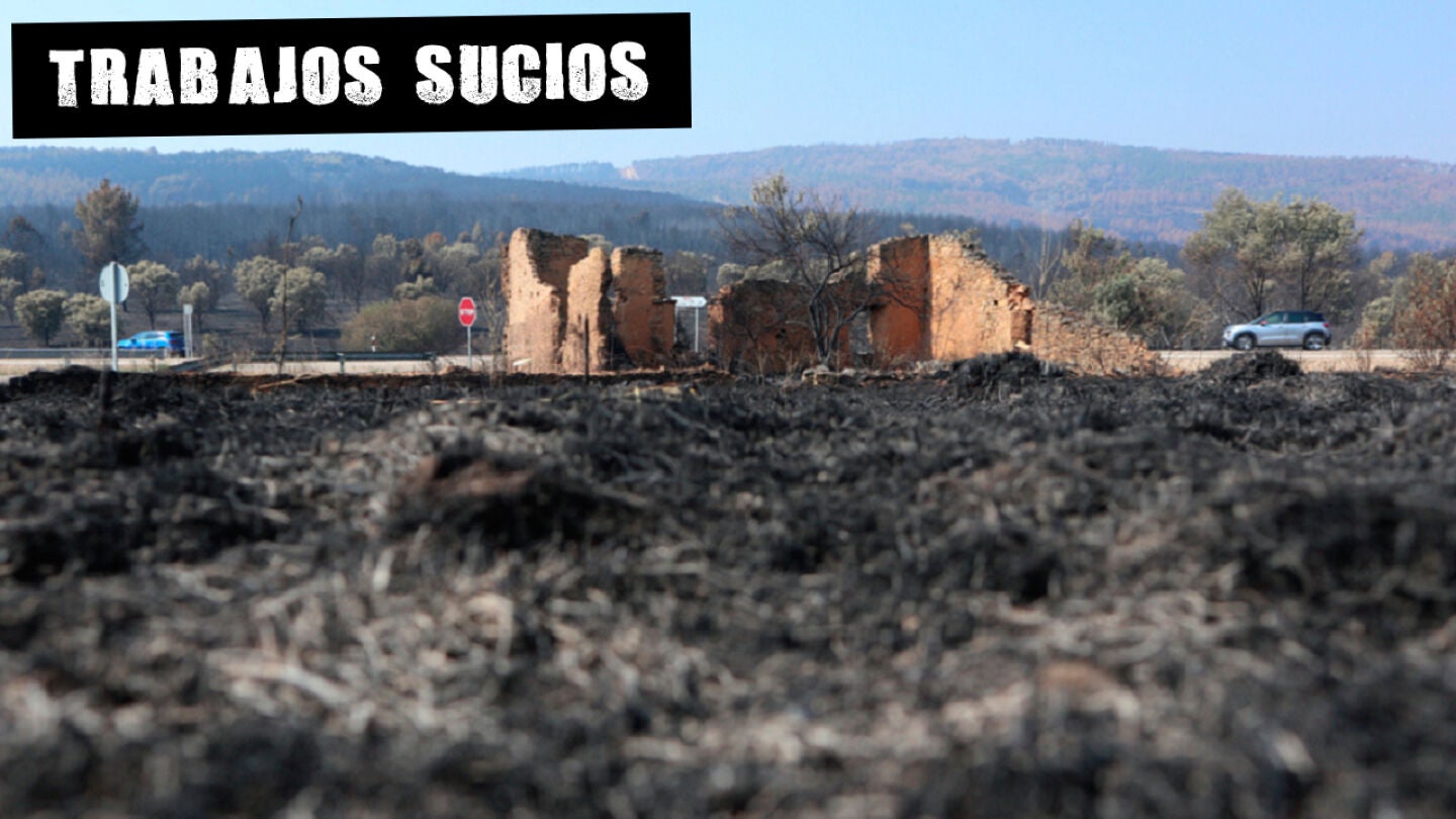 Vista de la zona afectada de San Mart&iacute;n de T&aacute;bara (Zamora), por el incendio forestal de Losacio (Zamora)