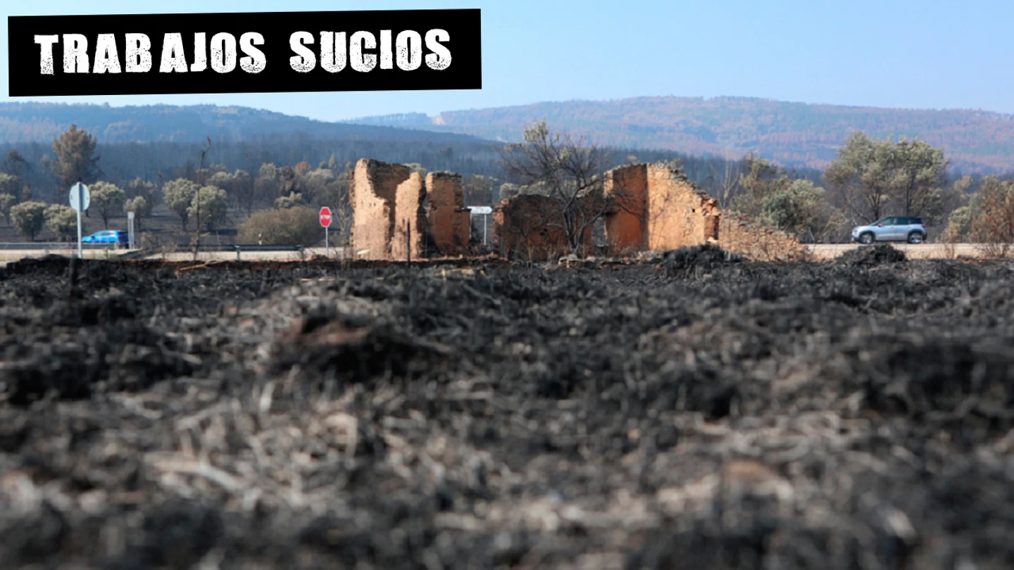 Vista de la zona afectada de San Martín de Tábara (Zamora), por el incendio forestal de Losacio (Zamora) Vista de la zona afectada de San Martín de Tábara (Zamora), por el incendio forestal de Losacio (Zamora)