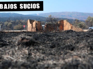 Vista de la zona afectada de San Martín de Tábara (Zamora), por el incendio forestal de Losacio (Zamora)