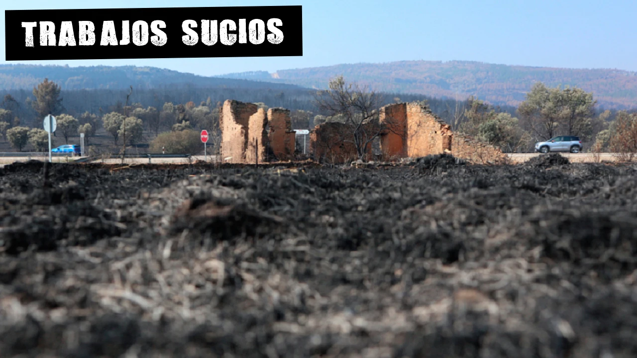 Vista de la zona afectada de San Martín de Tábara (Zamora), por el incendio forestal de Losacio (Zamora)