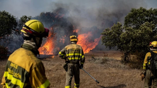 Efectivos trabajan en el incendio de Zamora Efectivos trabajan en el incendio de Zamora