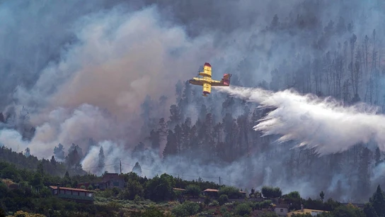 Incendio de Tenerife Incendio de Tenerife