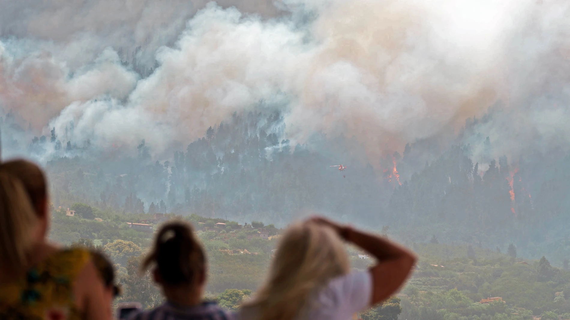 Vecinos de Las Llanadas (Los Realejos, Tenerife) observan el efecto de las llamas en sus bosques
