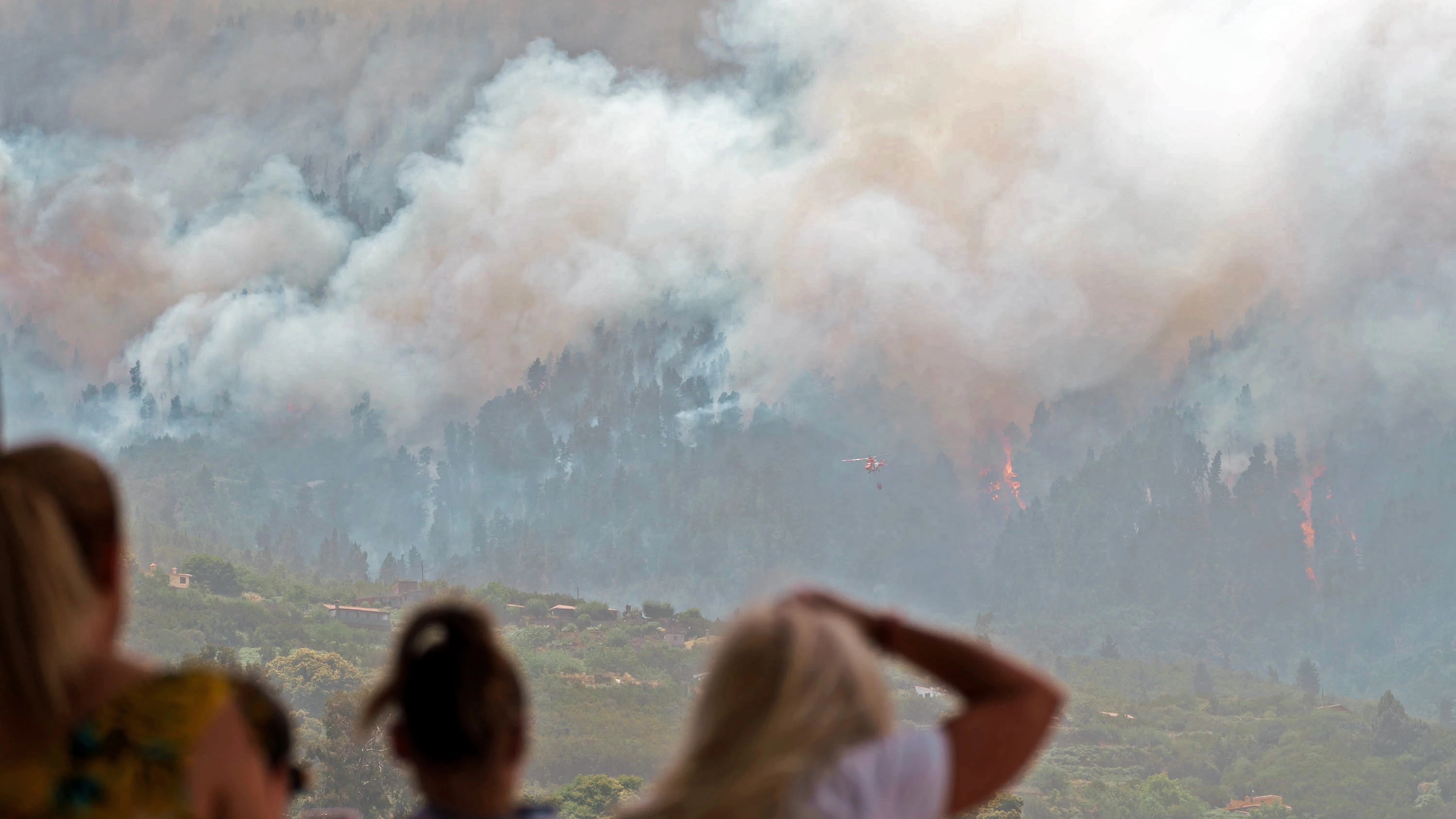 Vecinos de Las Llanadas (Los Realejos, Tenerife) observan el efecto de las llamas en sus bosques