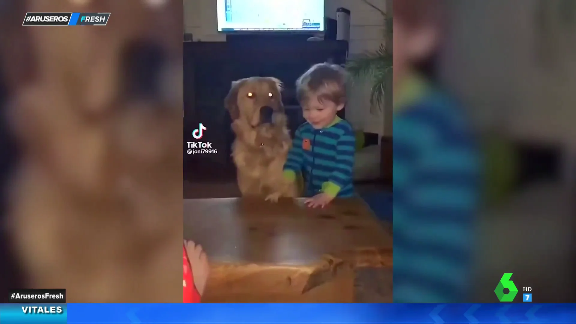 Abrazo perro