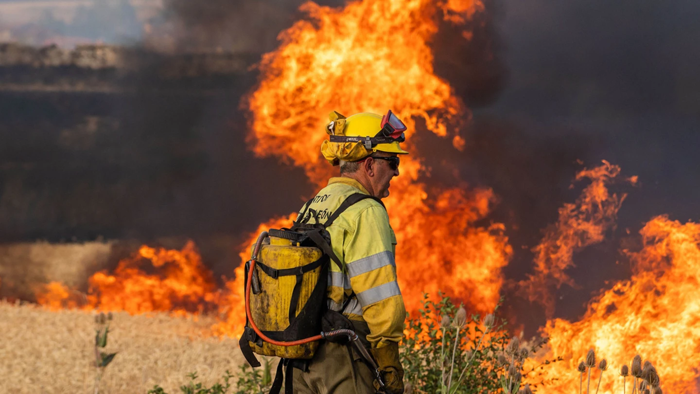 Incendios en Castilla y León Castilla y León sospecha que los incendios en Zamora, Ávila y Burgos han sido intencionados