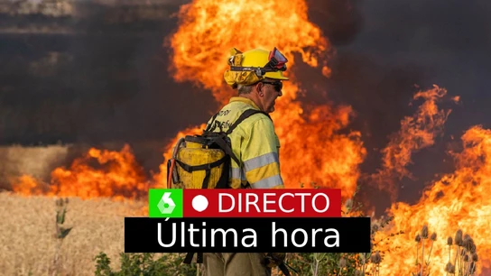 La última hora de los incendios en España, en directo La última hora de los incendios en España, en directo