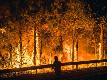 El coste económico directo de los incendios en España supera los 2.000 millones de euros